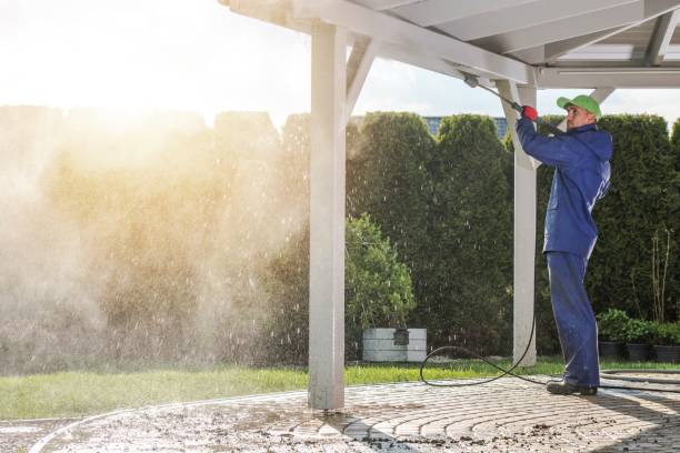 Animal Enclosure Cleaning in Shelley, ID
